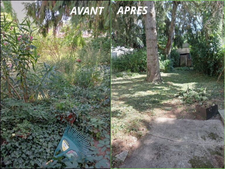 Remise en état jardin