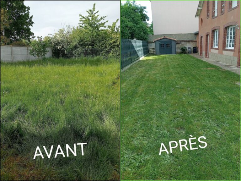 Tonte de pelouse